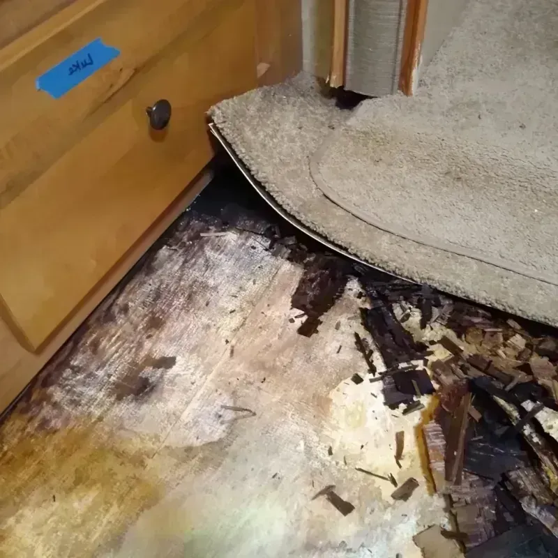 Wood Floor Water Damage in Delmar, DE